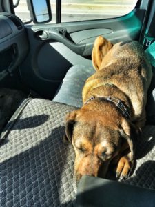 Dakota's Seat